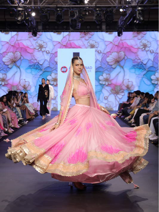 Padmini Pink Lehenga
