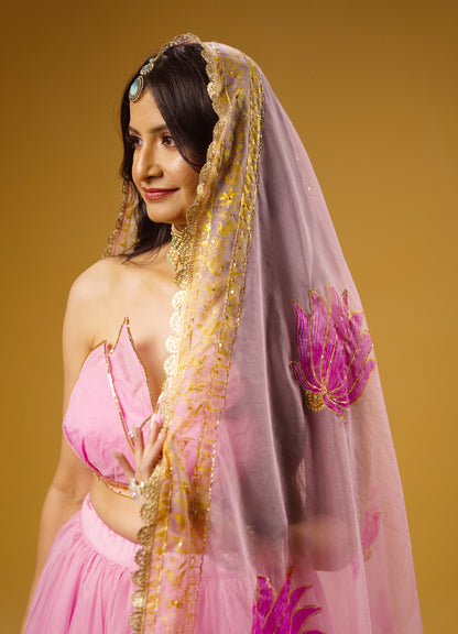 Padmini Pink Lehenga