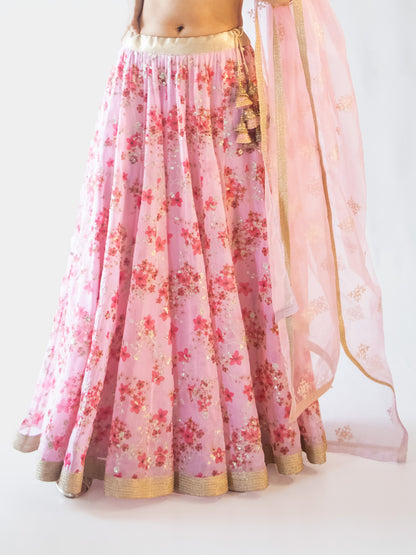 Apsara Pink Lehenga 2.0