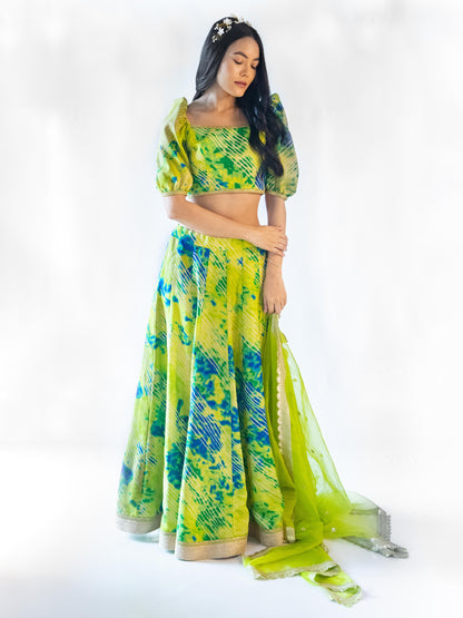 Feya Green Lehenga