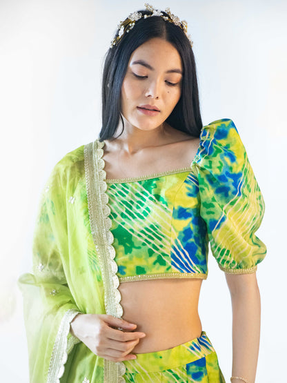 Feya Green Lehenga